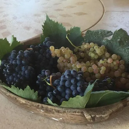 Lejlighed Wine Le Sedici Massa Marittima