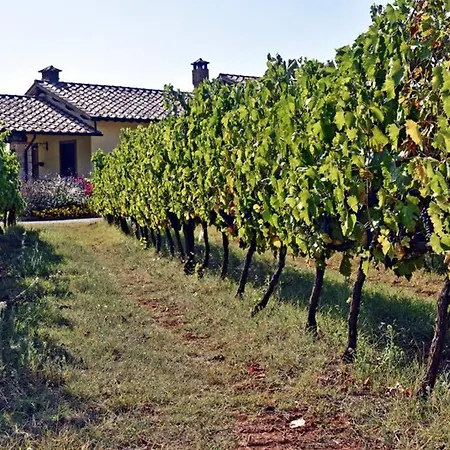 Apartamento Wine Le Sedici *