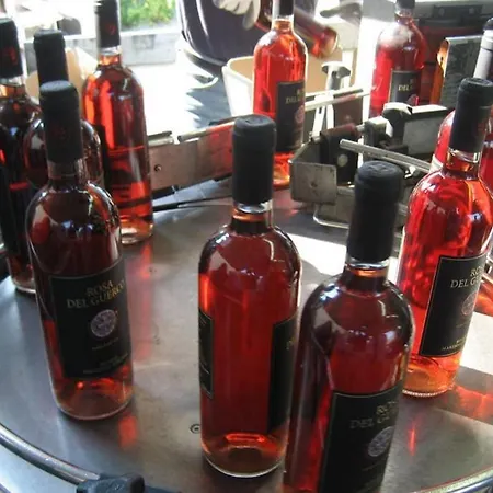 Lejlighed Wine Le Sedici Massa Marittima