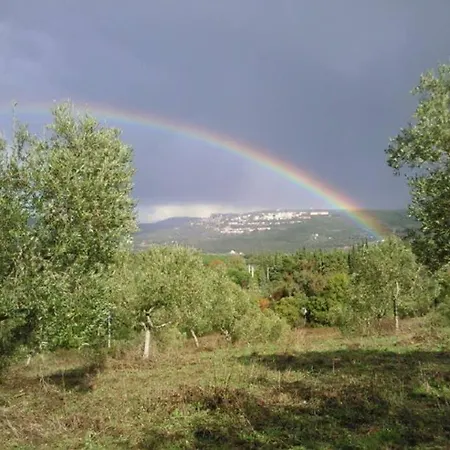 Lejlighed Wine Le Sedici *