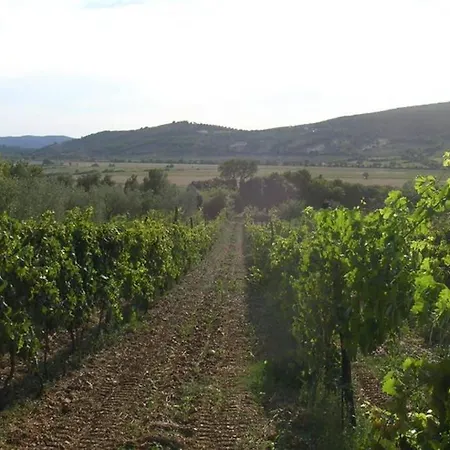 Apartamento Wine Le Sedici