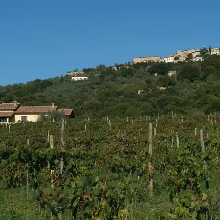 Wine Le Sedici Lejlighed *