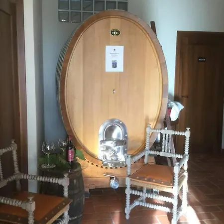 Wine Le Sedici Massa Marittima