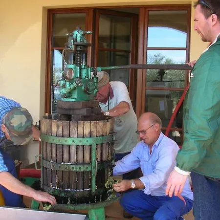 Apartamento Wine Le Sedici