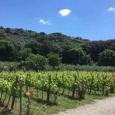 Wine Le Sedici * Massa Marittima