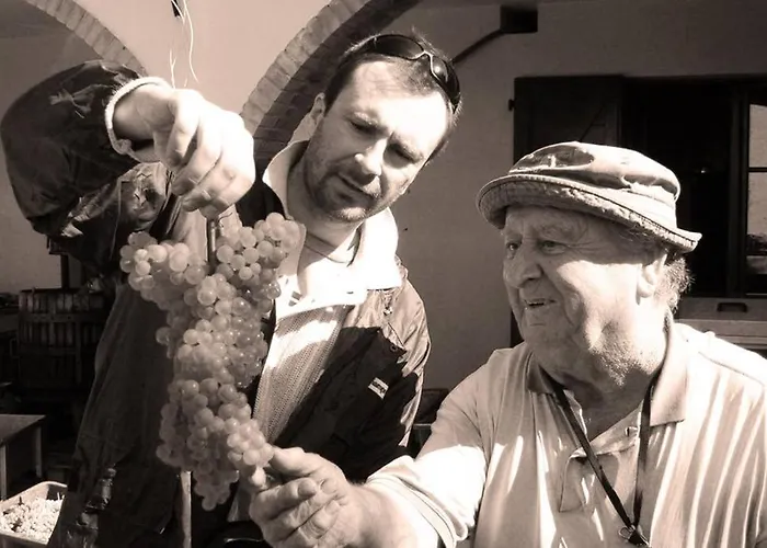 Wine Le Sedici * 마사마리티마