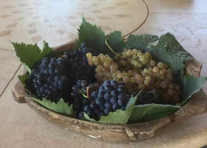 아파트 Wine Le Sedici 마사마리티마