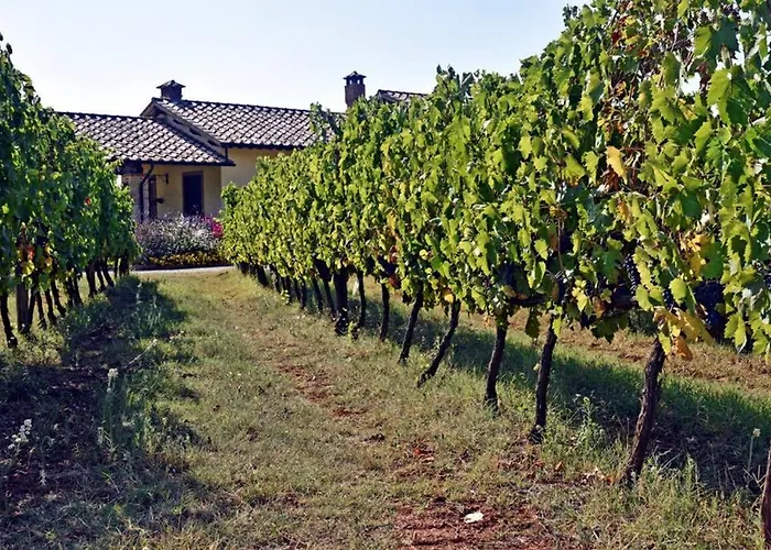 아파트 Wine Le Sedici *