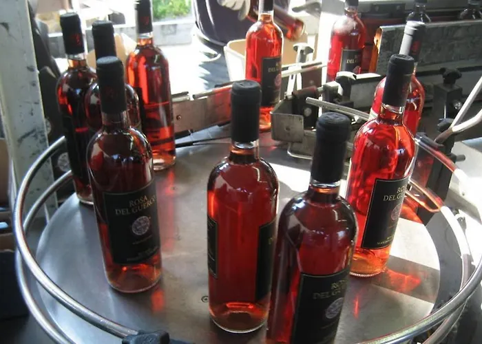 아파트 Wine Le Sedici 마사마리티마