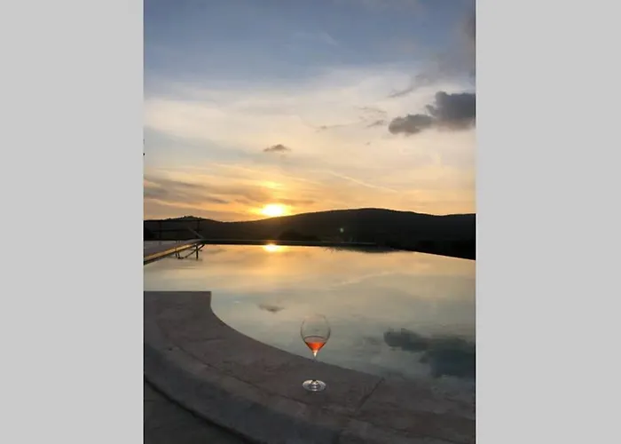 Wine Le Sedici 마사마리티마