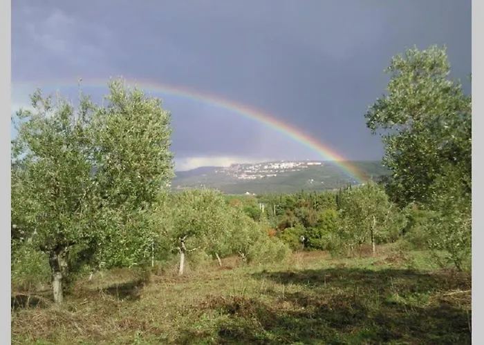 아파트 Wine Le Sedici *