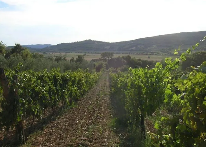 아파트 Wine Le Sedici