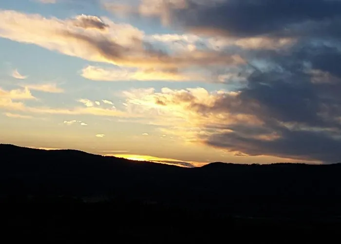 Wine Le Sedici * 마사마리티마