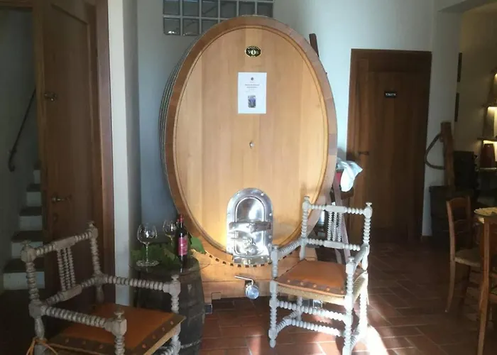 Wine Le Sedici 마사마리티마