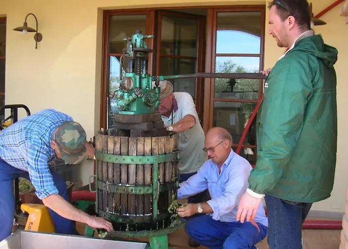 아파트 Wine Le Sedici